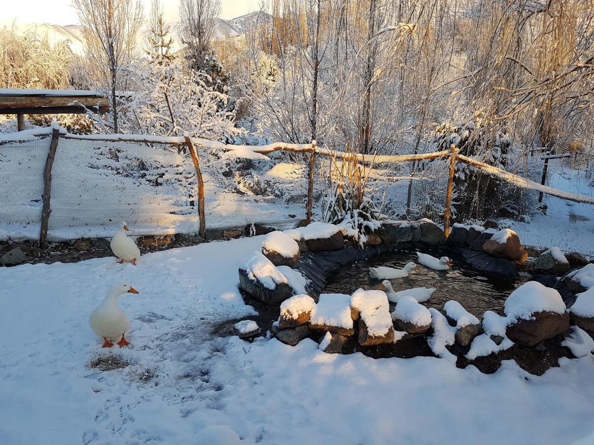 Posta Nehuen Cabanas Potrerillos Dış mekan fotoğraf